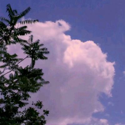 Bsport体育最新版